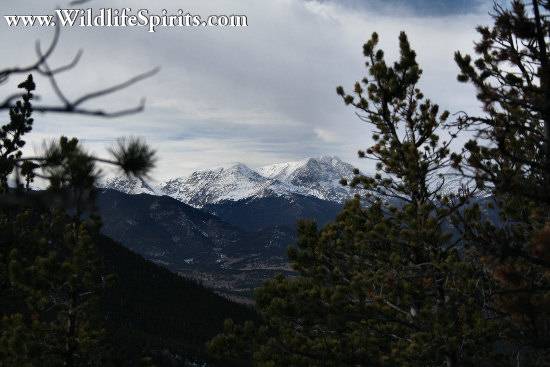 Click Picture to send as an  E-PostCard 56k 550x367
